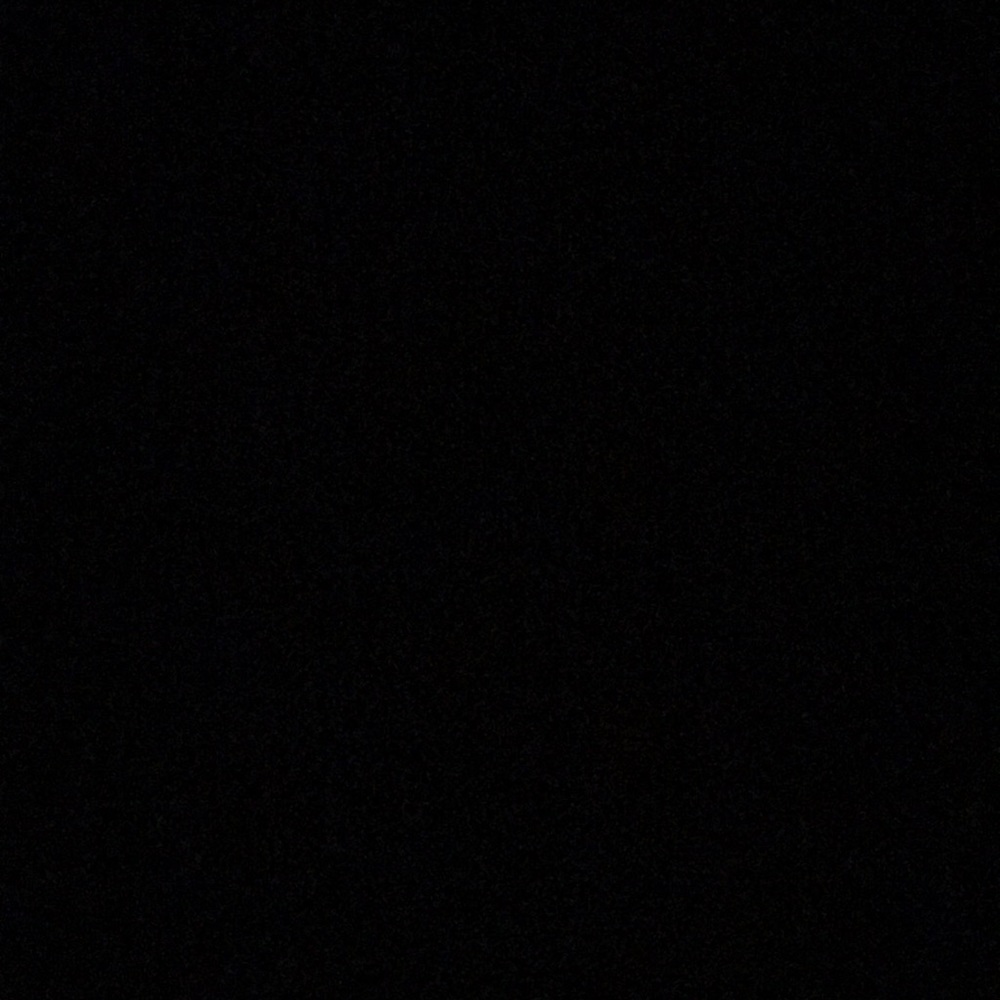 Meet your Posher, Darcy